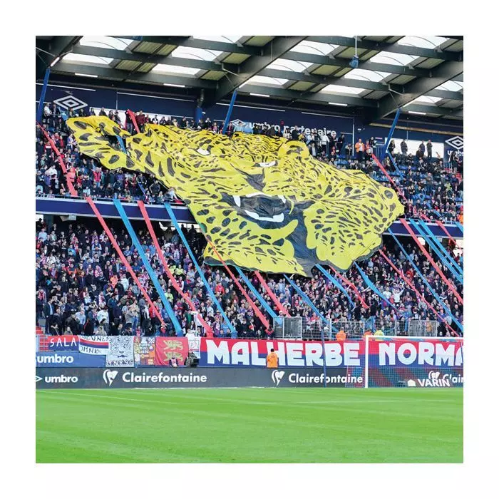 Lot D'objets Collector Vintage - Spécial Stade Malherbe De Caen (SM Caen), Football, Souvenirs, France