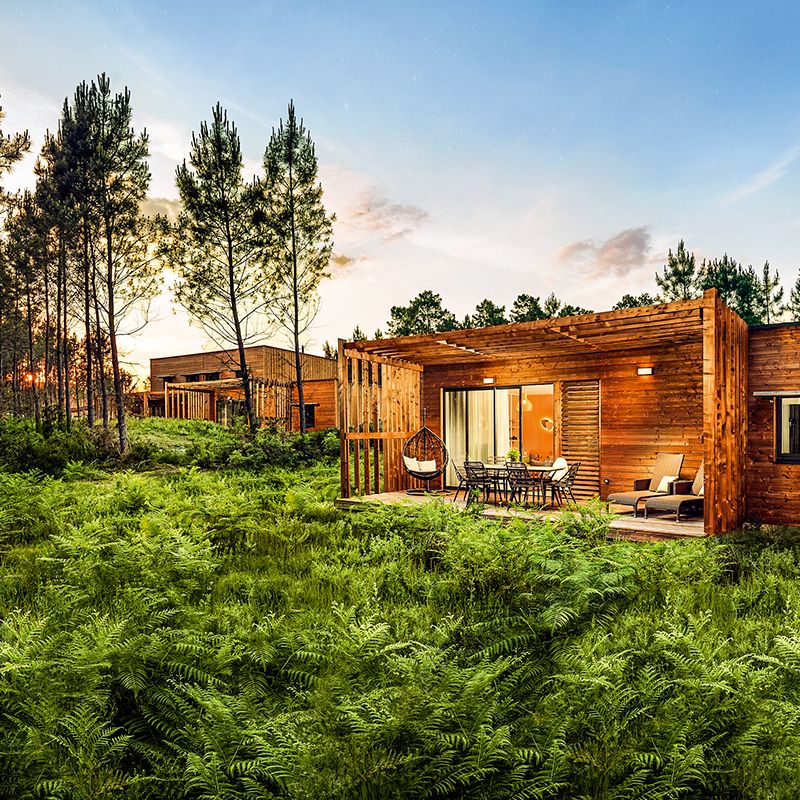 Des cabines au milieu d'une forêt. 