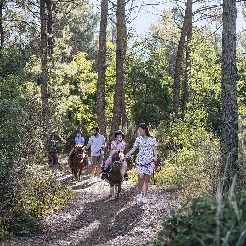 Une famille se promenant sur des poneys dans une forêt.