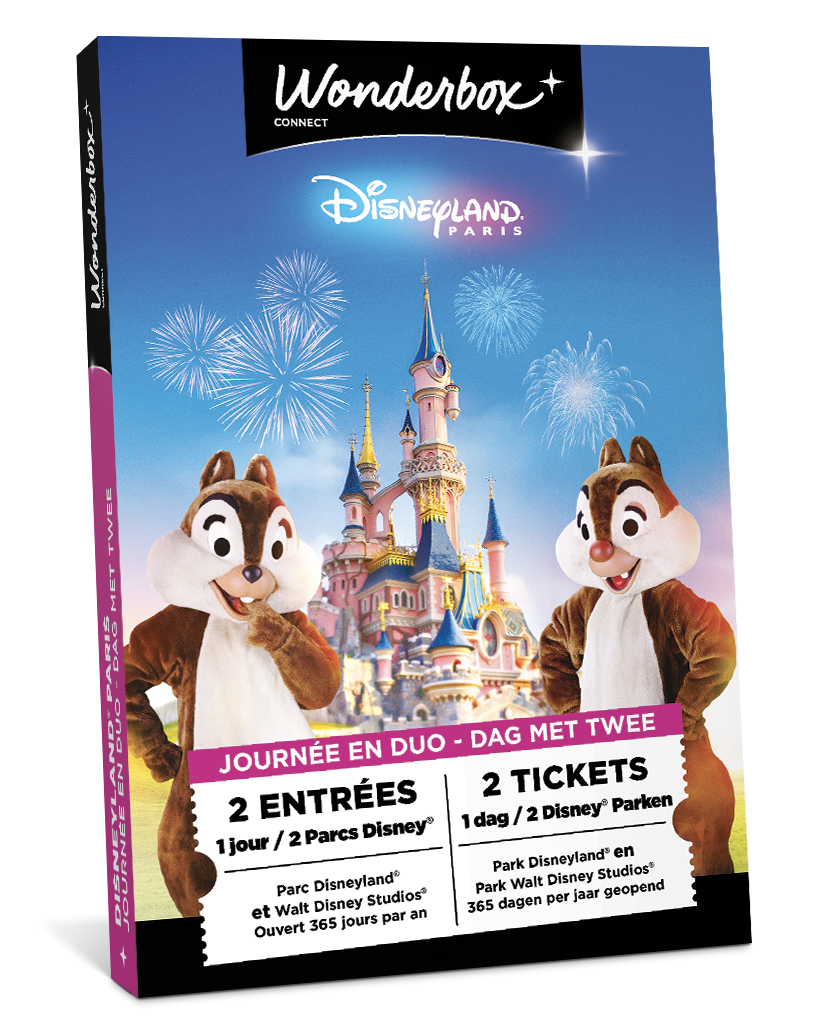 Coffret cadeau Disneyland Paris - Journée en Duo pour deux parcs | Wonderbox Connect