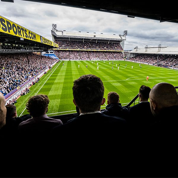 Supporters watching a Crystal Palace match.