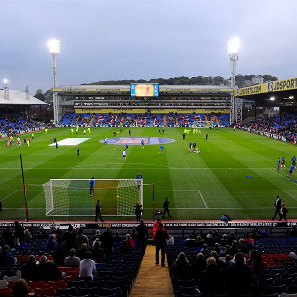 Supporters watching a Crystal Palace match.
