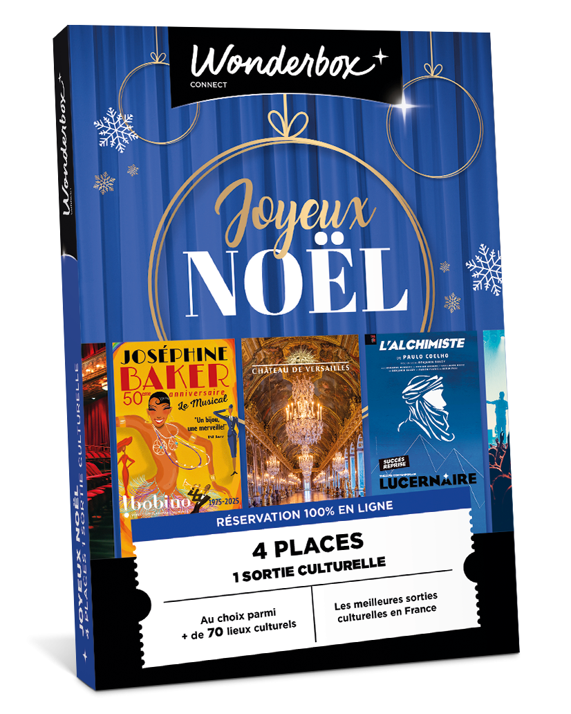 Joyeux Noël culturel - Sortie culturelle pour 4 personnes