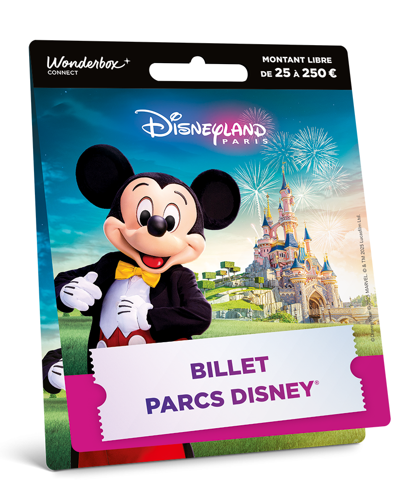 Carte Disneyland® Paris - Mickey 