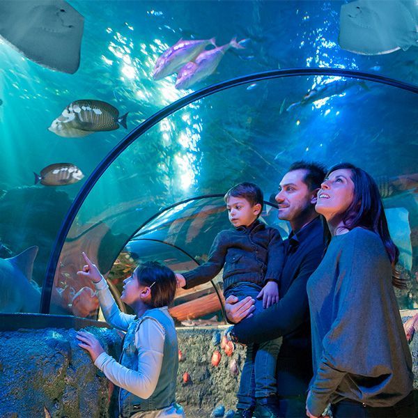Acquario di Gardaland.