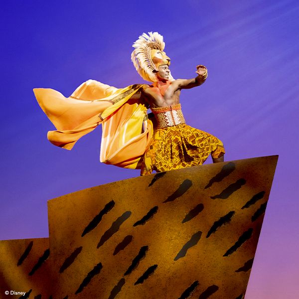 A character from the Lion King show.