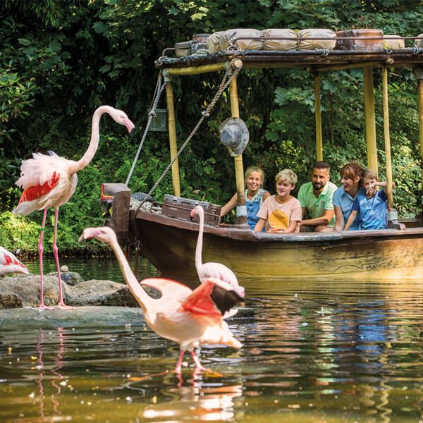 Une famille qui observe des cygnes sur une rivière au Bellewaerde.