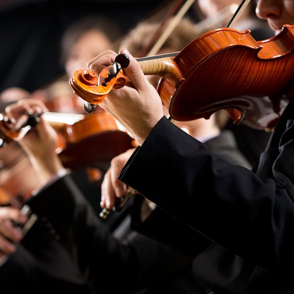 Musicus die de viool speelt. 
