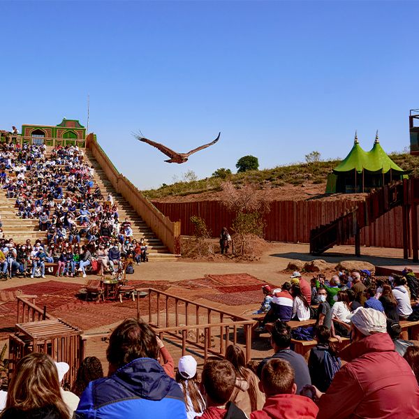 Espectáculo en el Puy du Fou.
