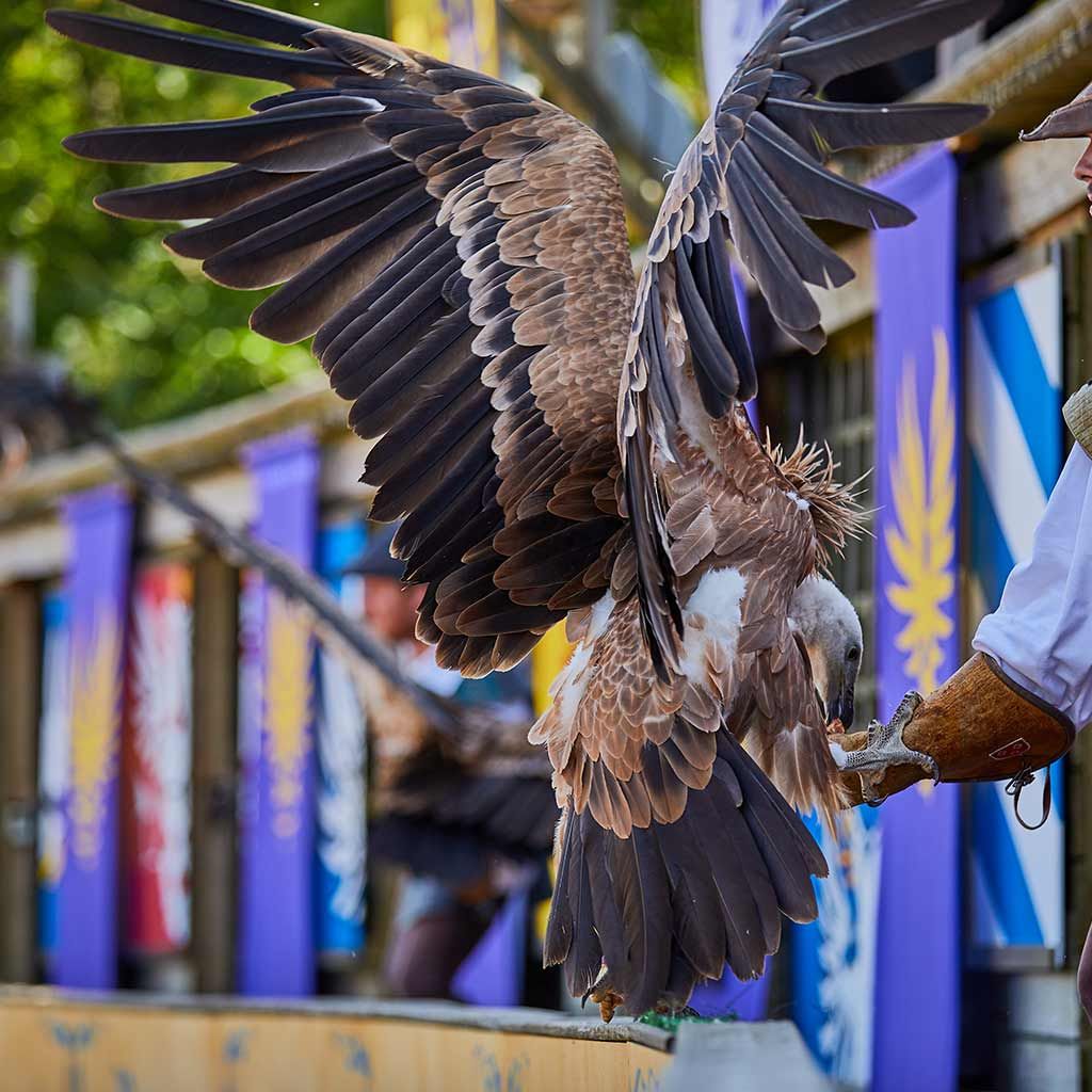 Puy du Fou spectacle.