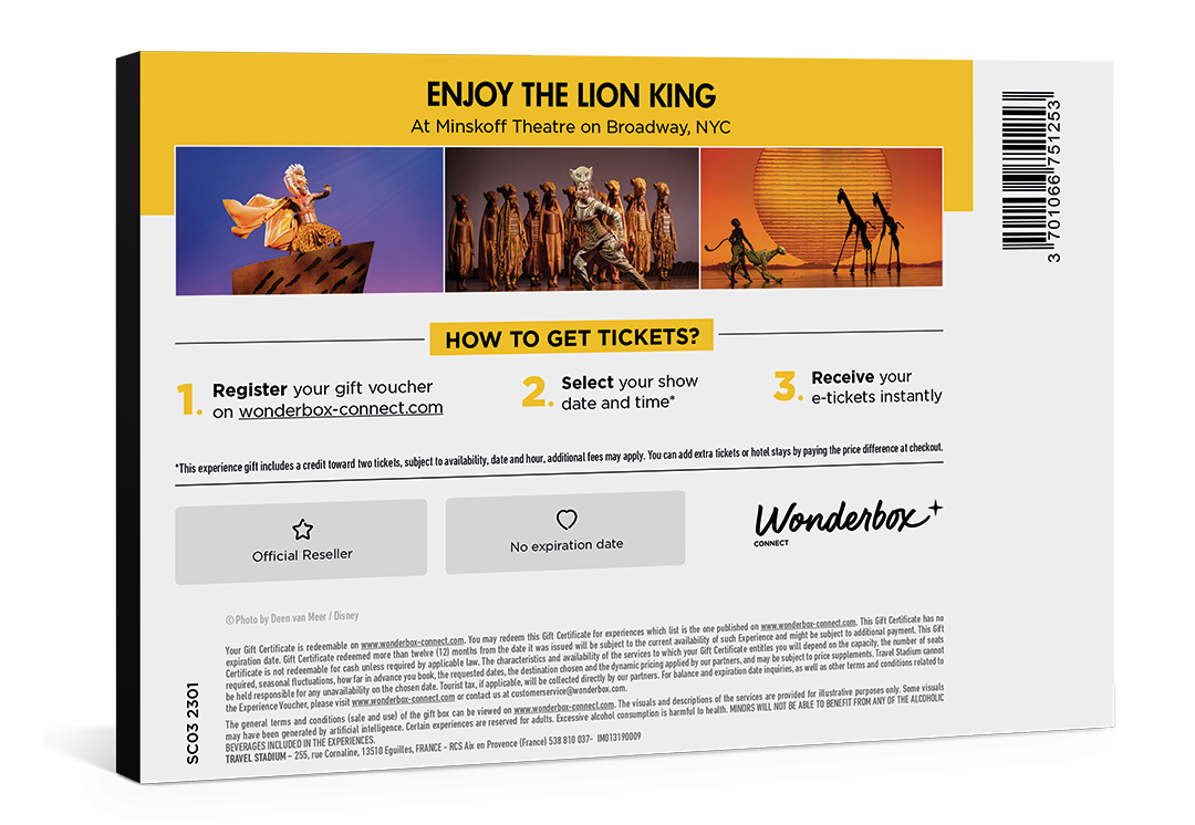 The Lion King Broadway