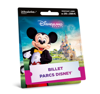 Carte cadeau Disneyland® Paris Mickey Carte cadeau Disneyland® Paris Mickey