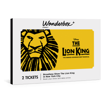 The Lion King Broadway