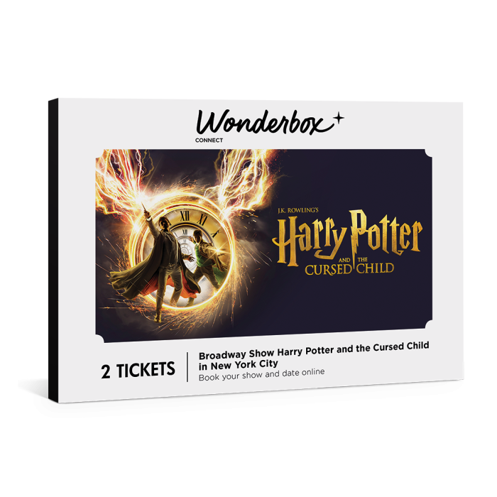 Harry Potter and the Cursed Child Broadway main product photo
