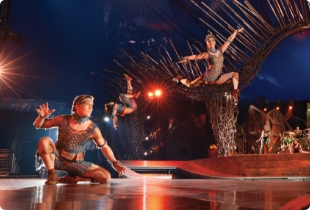 ES_noel25_spectacles_show_Cirque_du_soleil