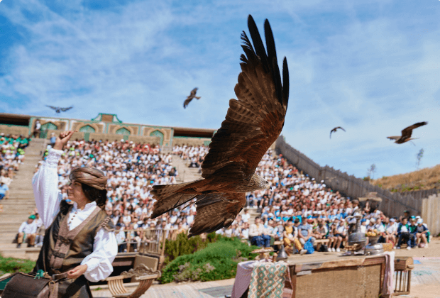 ES_noel25_visites_madrid_PuyduFou_Espana
